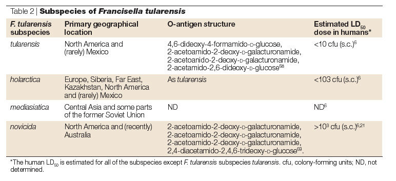 Tularemia pic 2.png